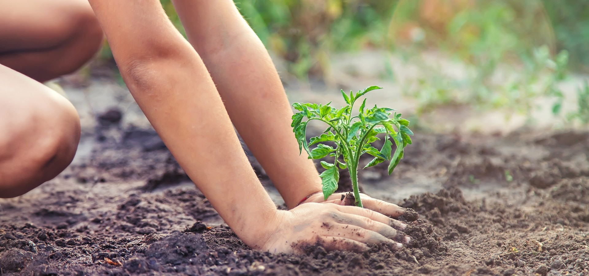 Νaked gardening folklore